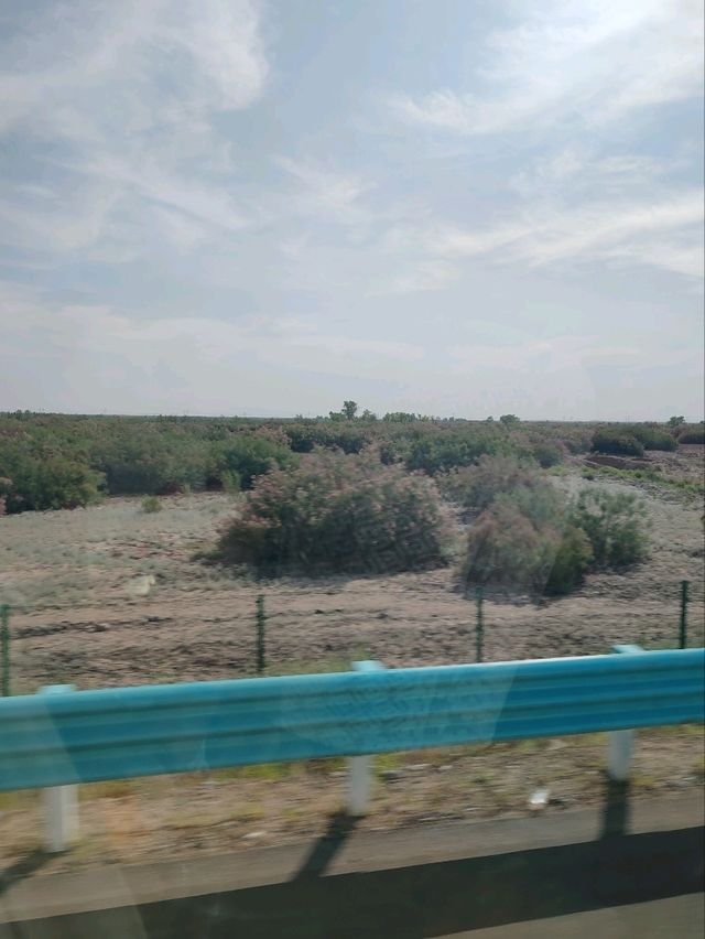 克拉美丽服务区：S21沙漠公路上的“交旅融合新地标”，沙漠中的全业态休闲综合体