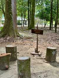 Sip, Breathe, Escape: Mimpi Hutan Café in the Garden of Eve