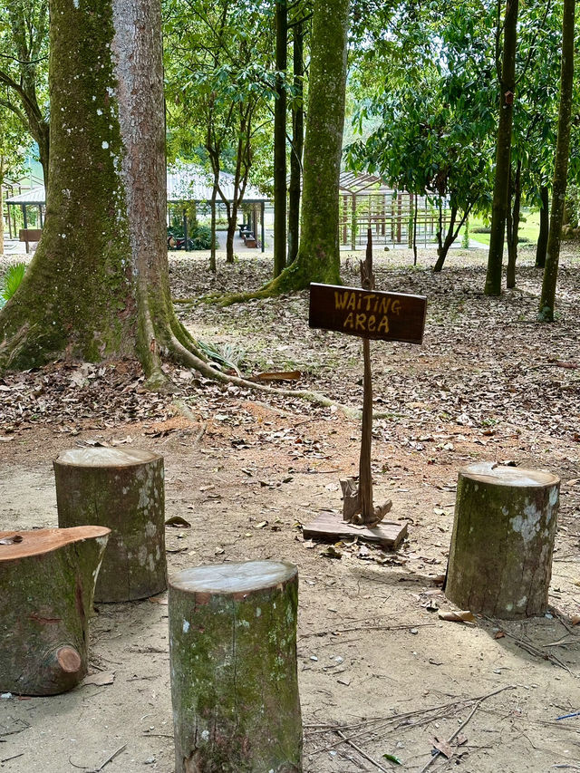 Sip, Breathe, Escape: Mimpi Hutan Café in the Garden of Eve