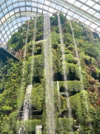 Misty Jungle in a Glass Dome