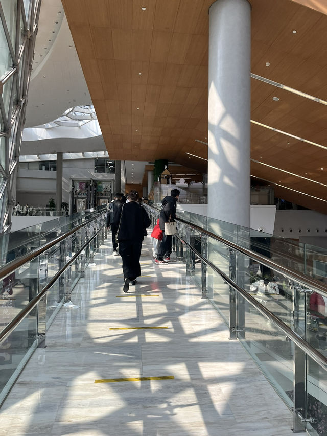 ShanghaiNaturalHistoryMuseum ไดโนเสาร์คือเท่สุด🦖🌿