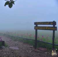 อุทยานแห่งชาติไทรทอง จ.ชัยภูมิ​