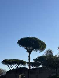 Palatine Hill: Where Emperors Dreamed And Rome Was Born