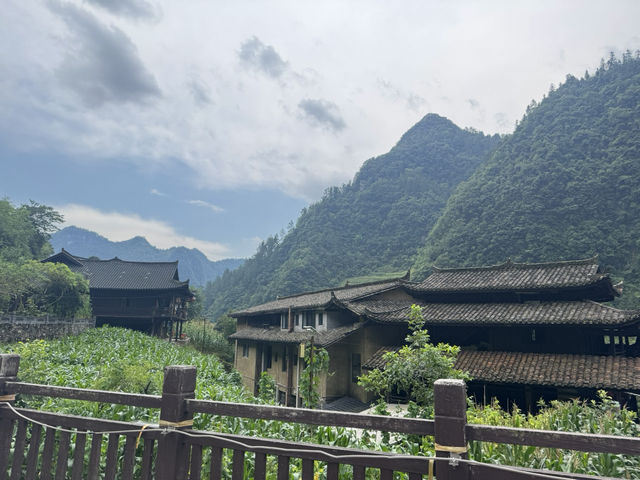 有空出來感覺大自然吧