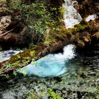 Nature’s Hidden Gem: Discovering the Dreamlike Beauty of Jiuzhaigou