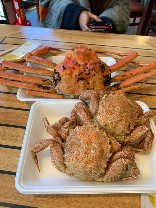 日本能登半島 美景飯店 燈之宿