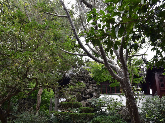 上海-上海老街（古城公園）