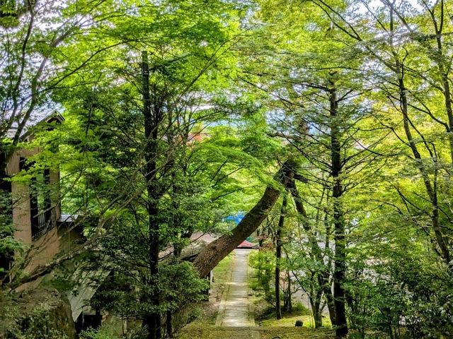 高山 | 素玄寺，東山遊步道的賞楓景點