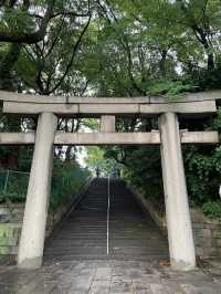 Explore the Heart of Tokyo at Ueno Park