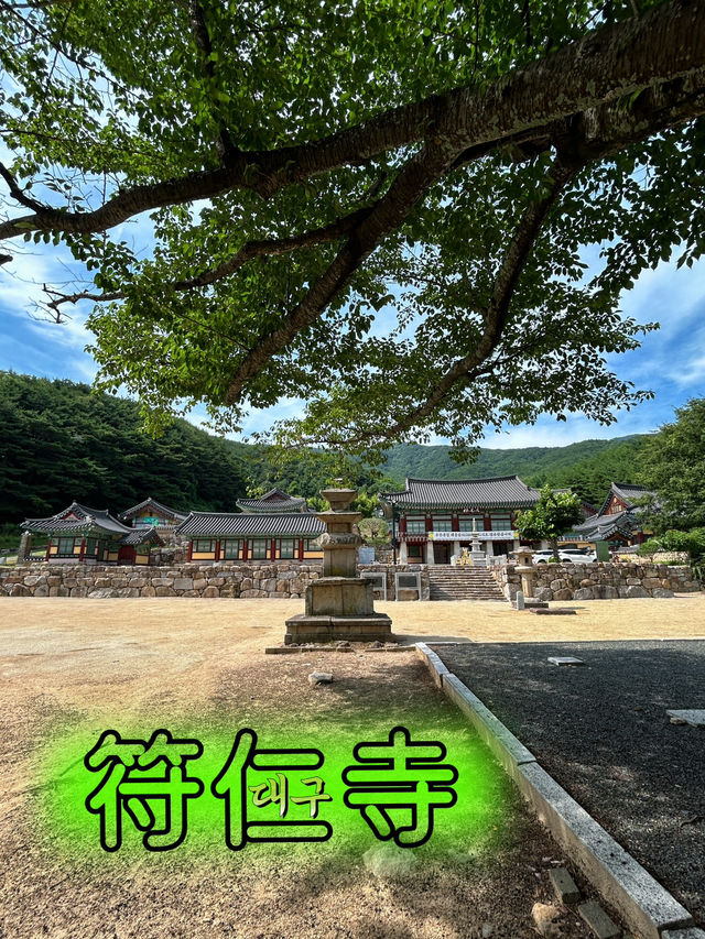 🇰🇷大邱✈️八公山半山腰的符仁寺부인사