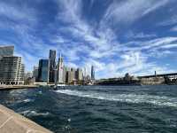 Sightseeing in Sydney 