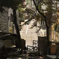 Tranquil Brew Amid a Garden Retreat – My Visit to nadoya no kaTte, Tokyo
