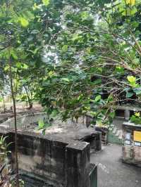 Penang War Museum
