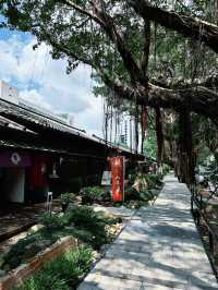 【大安區 | 台北小京都🎋榕錦時光生活園區 活化成文青的集散地】