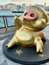Victoria Harbour: The Heartbeat of Hong Kong on a Budget