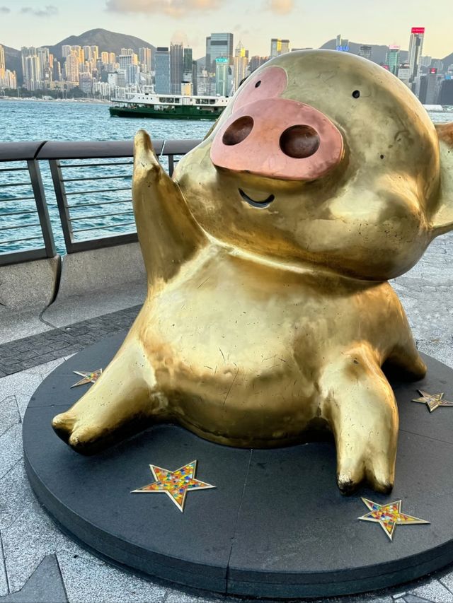 Victoria Harbour: The Heartbeat of Hong Kong on a Budget