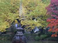 秋意盎然的都心秘境日比谷公園