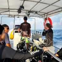 ดำน้ำลึกกับ Satun Dive Resort Koh Lipe