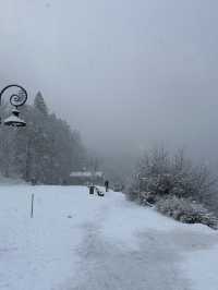 Neuschwanstein: Where A Broken King Buried His Mind