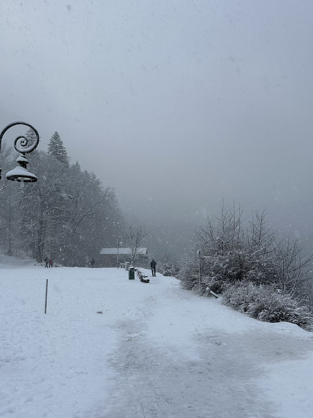Neuschwanstein: Where A Broken King Buried His Mind