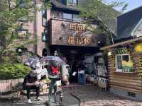 Yufuin Town: Your Guide to a Ghibli-esque Fairytale Escape! 🌿🍜🦉