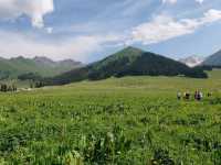 Nalati Sea of Flowers, A Summer Poem Under the Paraglider
