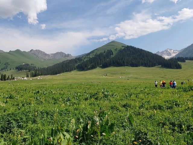 Nalati Sea of Flowers, A Summer Poem Under the Paraglider