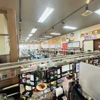 Gourmet Conveyor Belt Sushi - Ichiba Mihama 🍣