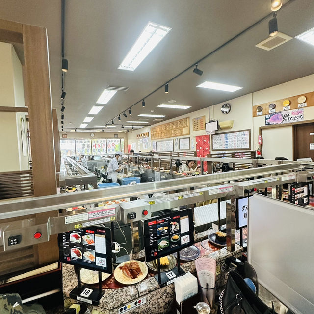 Gourmet Conveyor Belt Sushi - Ichiba Mihama 🍣