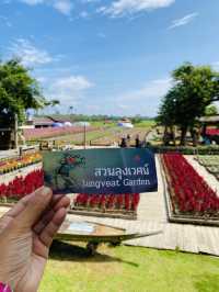 รีวิวคาเฟ่เมืองตรัง