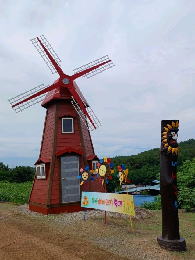 여름 꽃 축제
