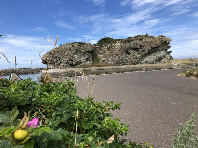 北海道来たんなら積丹うに☀️🤤　なまらうまいっしょ❣️😊
