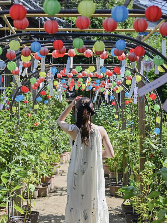 【奈良】風鈴まつり&情緒溢れる今井町巡り 【奈良】風鈴まつり&情緒溢れる今井町巡り