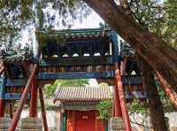 Elegant Rain‑Calling Dragon Temple in Summer Palace