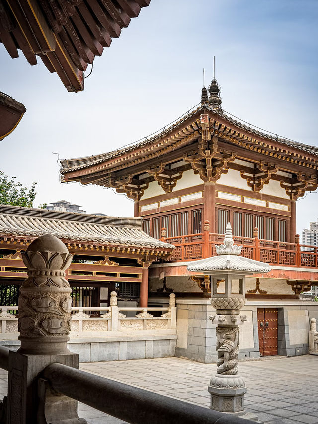 🌸 Hidden Tang Dynasty Charm in the City — Discover Xi’an’s Serene Qinglong Temple