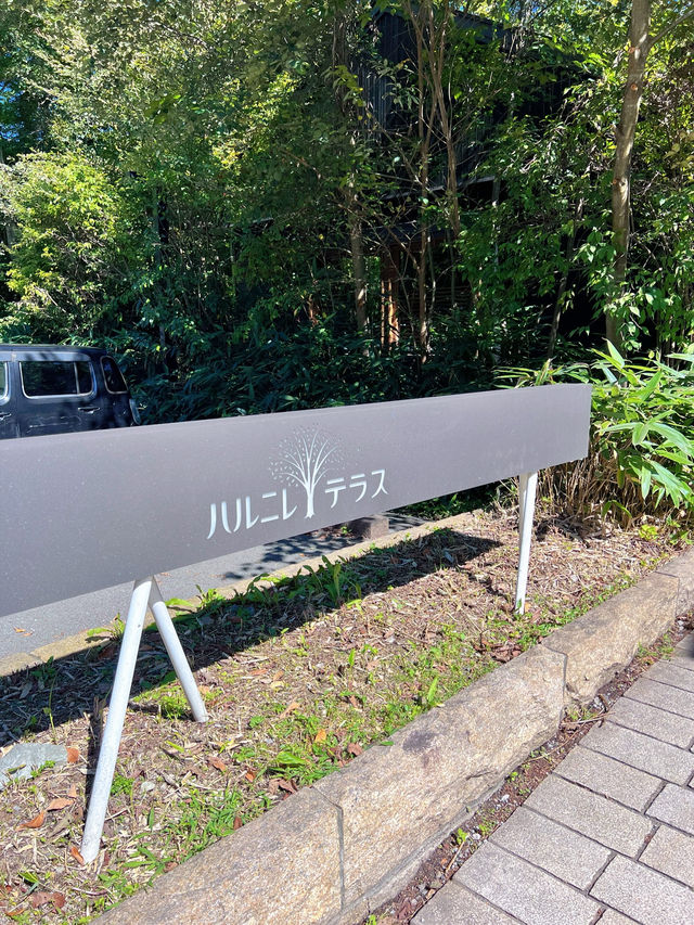 【軽井沢】涼を感じる🌿𓂃◌𓈒𓐍避暑地で夏を満喫