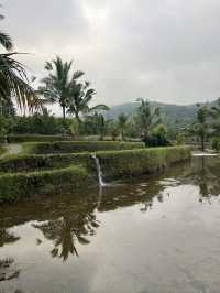 Green Dreams: Rice Terraces & Highlands of Bali