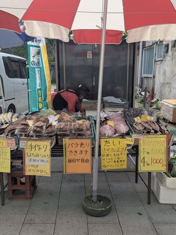 【呼子朝市】新鮮な海の幸と人情に触れる朝の旅🌅
