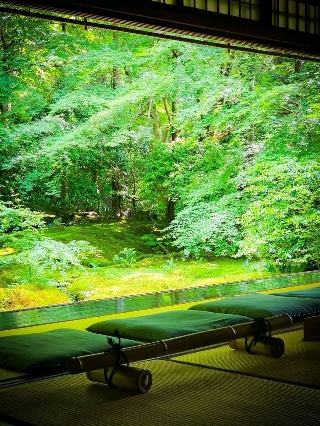 心に映る、青もみじのミラーワールド🪞🍃