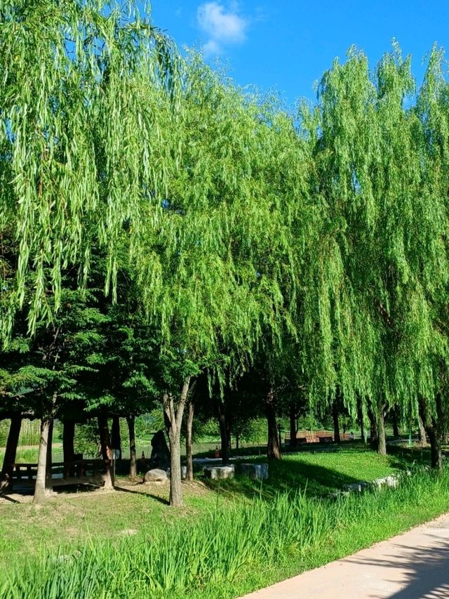 마음이 환해지는 햇살 가득한 공간 ☀️