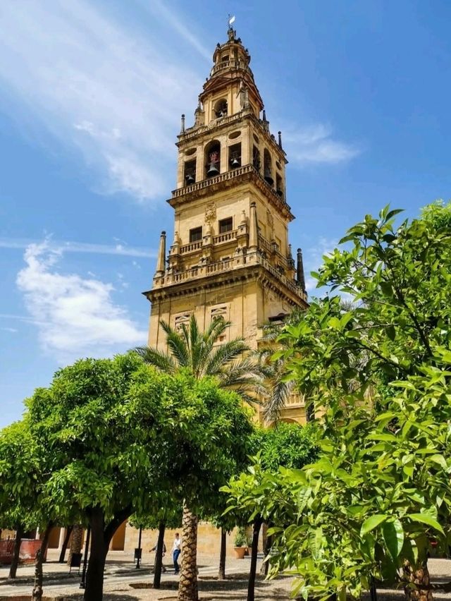 🕌 스페인 – 코르도바 메스키타 대성당 (Mezquita-Catedral de Córdoba)
