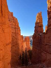 🌄Sunrise at Bryce Canyon – A Dreamy Hoodoo Wonderland