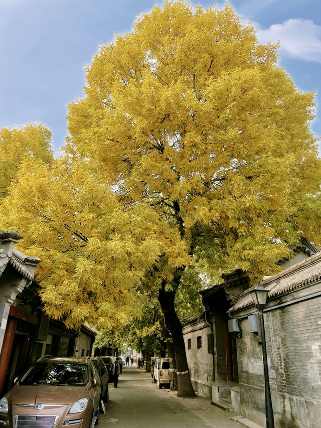 📍 Nanluoguxiang – A Stroll Through the Heart of Old Beijing 📍 Nanluoguxiang – A Stroll Through the Heart of Old Beijing