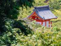 📍桃太郎原型巡禮⛩岡山兩大神社心得