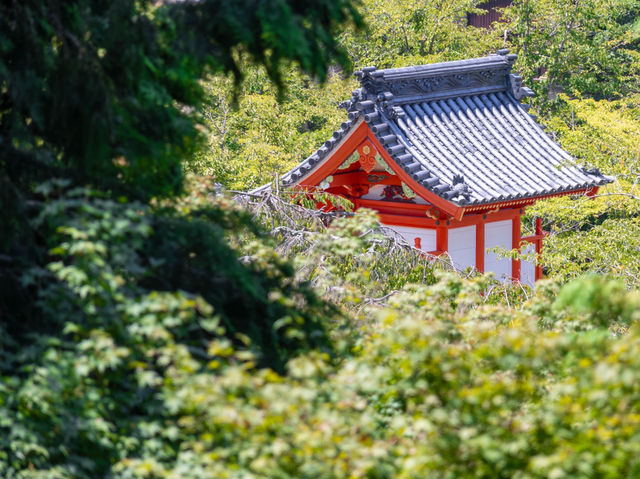 📍桃太郎原型巡禮⛩岡山兩大神社心得