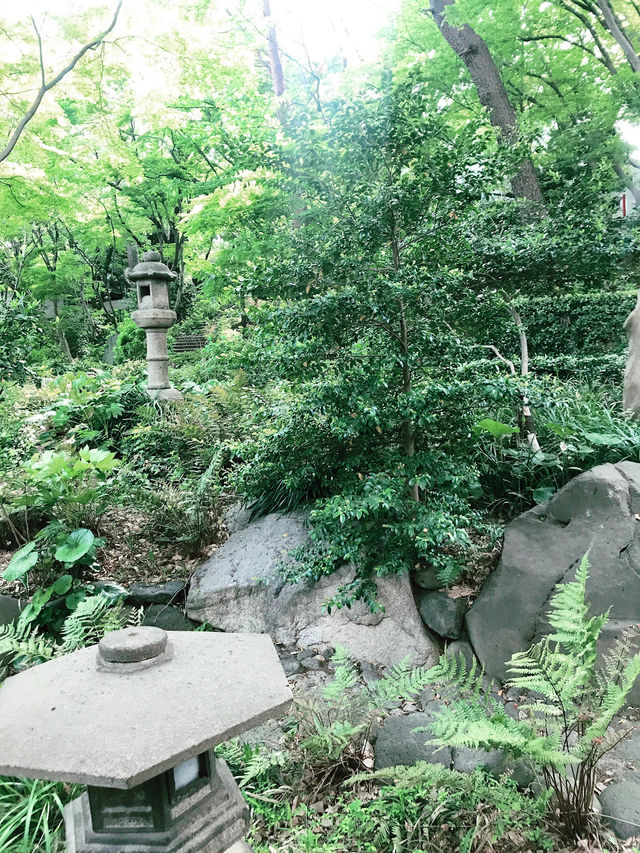💧🏞️水と音がつなぐ非日常──品川・御殿山庭園の滝散歩 💧🏞️水と音がつなぐ非日常──品川・御殿山庭園の滝散歩