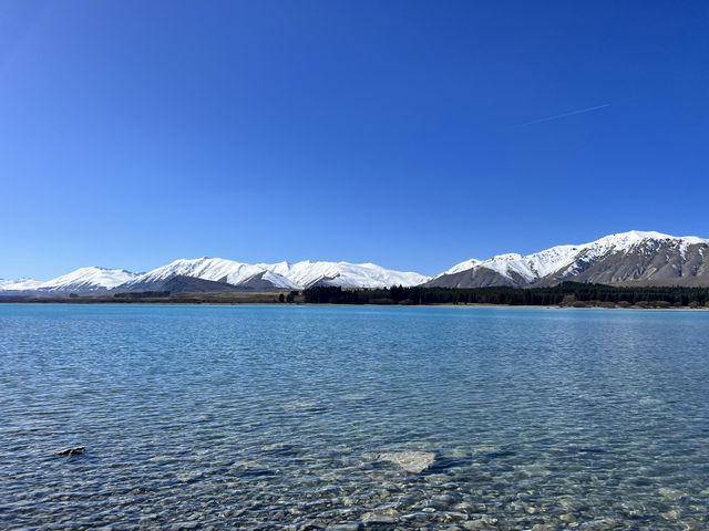紐西蘭地來景點—🌊 Lake Tekapo｜藍得不真實的人間仙境