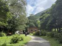 探索大嶼山的寧靜之地——蓮池寺