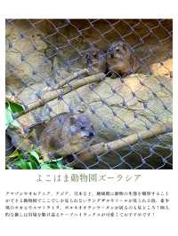 夏休みまだ間に合う！首都圏から日帰りで行ける動物園・水族館