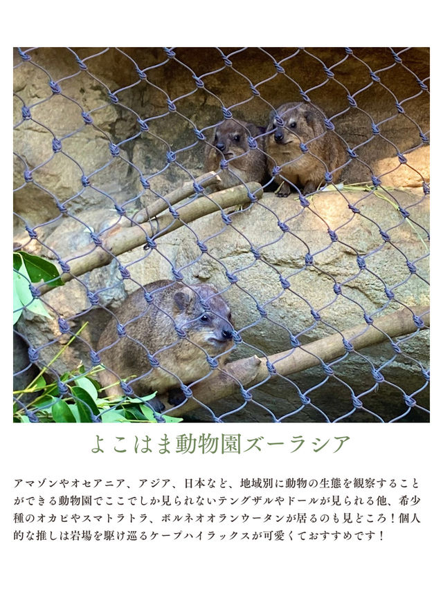 夏休みまだ間に合う！首都圏から日帰りで行ける動物園・水族館